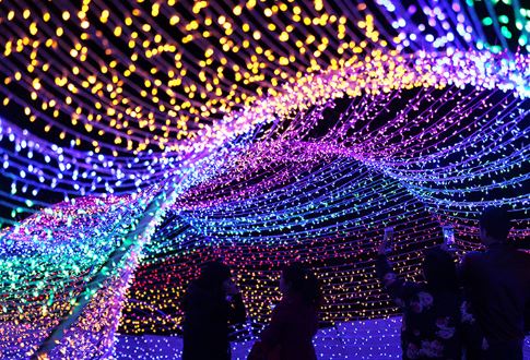 50M Led Fairy String Lights Garlands Christmas Tree Decorations for Home Garden Wedding Party Outdoor Indoor Decor