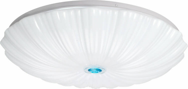 LED Ceiling Light