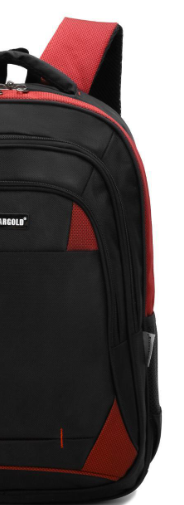 Stargold Laptop Backpack Black & Red