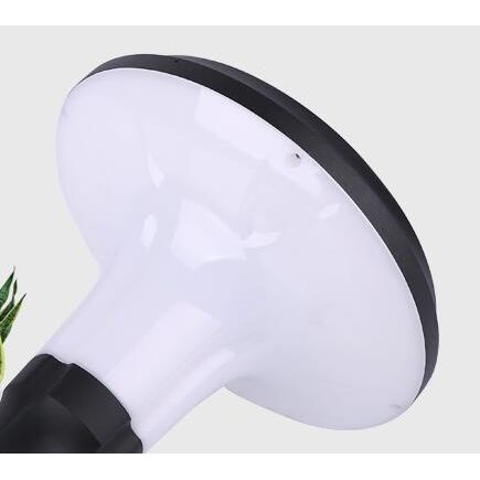 Solar Garden Light