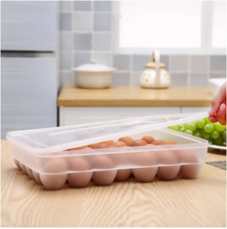 Organized Egg Storage 34-Grid Egg Tray Holder | Kitchen Appliance | Halabh.com