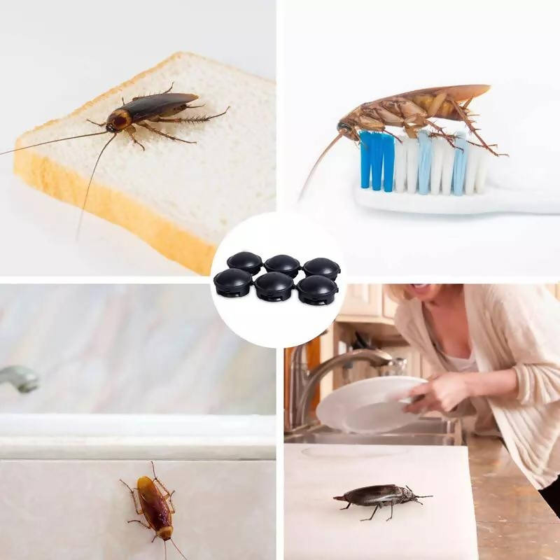 Roach Traps, Cockroach Killer Indoor Home, Small Roach Bait Station