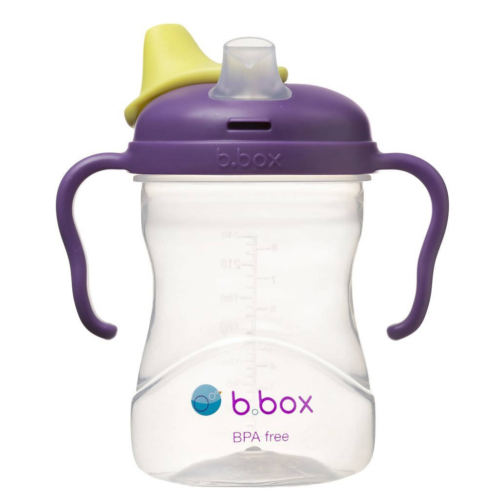 B.Box Spout Cup Grape