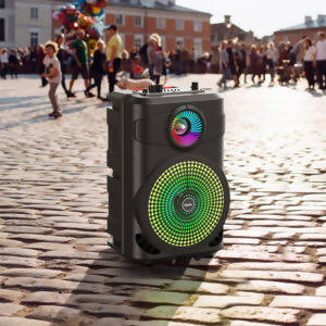 Wireless speaker “BS46 Mature” outdoor portable loudspeaker