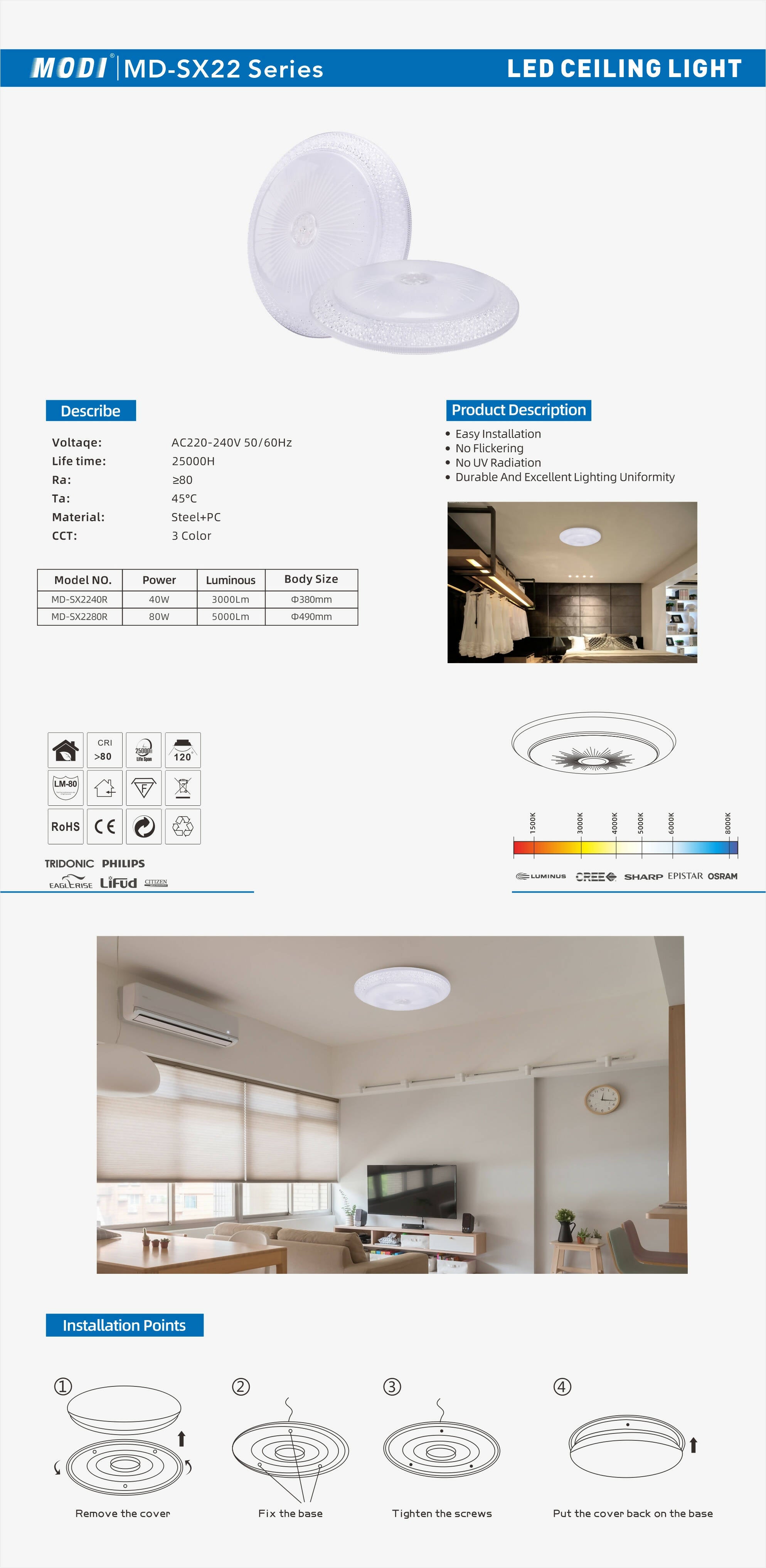 LED Ceiling Light