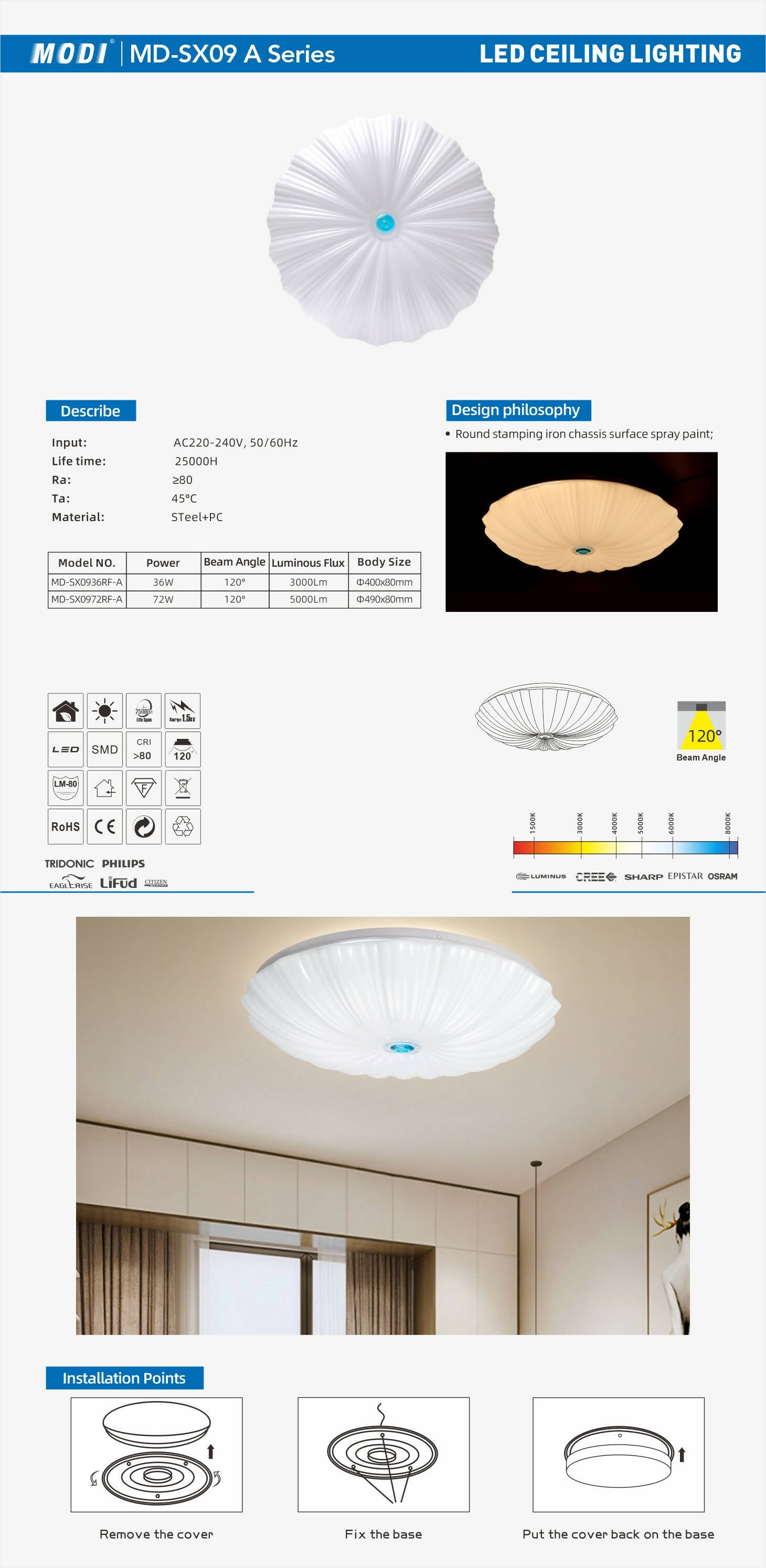 LED Ceiling Light