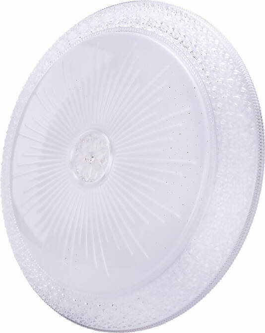 LED Ceiling Light